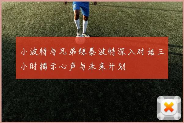 小波特与兄弟琼泰波特深入对话三小时揭示心声与未来计划